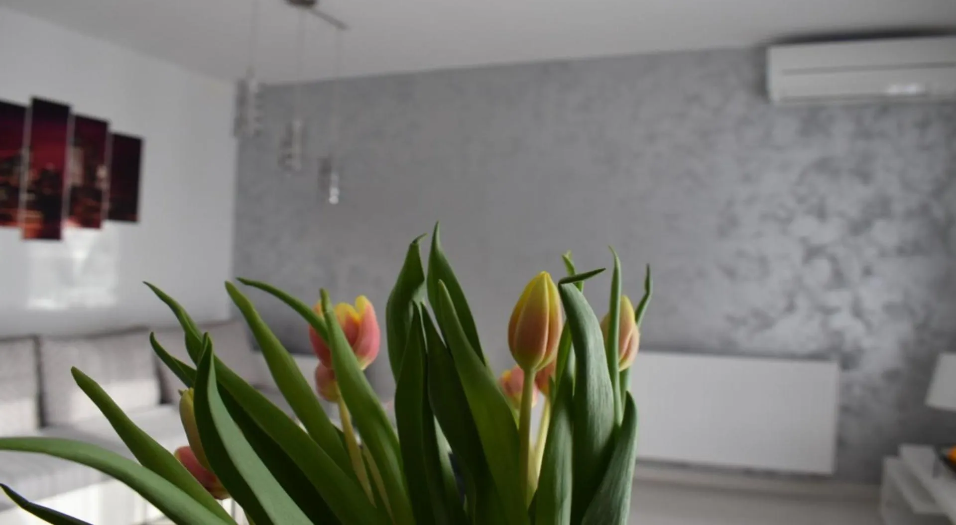 Διαμέρισμα Apartmani Foresta Kras