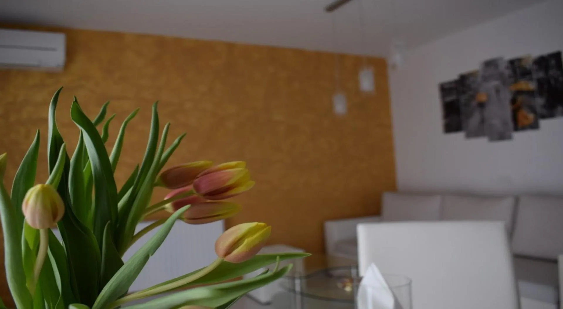 Apartmani Foresta Kras